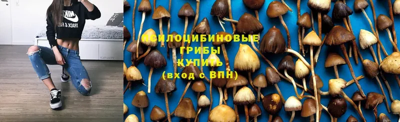 Галлюциногенные грибы MAGIC MUSHROOMS  ссылка на мегу онион  Сыктывкар 